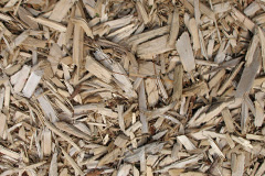 biomass boilers Camelford